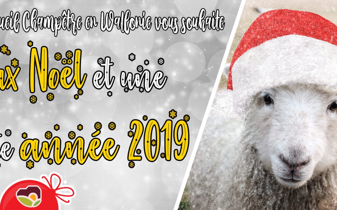 Bonne année 2019