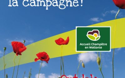 Les chèques cadeaux, kesako?