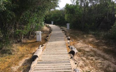 Agrotourisme : l&rsquo;aigle tunisien sur les traces du coq wallon