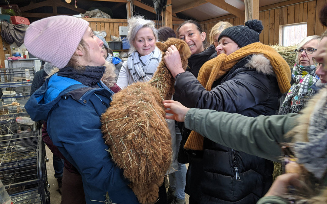 Lorsque l’agriculture sociale rencontre la médiation animale