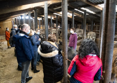 AGRICULTURE_SOCIALE_Visite_de_ferme_Asinerie_de_l_O