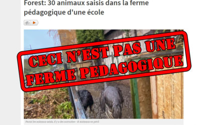 Forest – Ceci n’est pas une ferme pédagogique