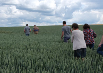 Agri-Innovation - Epis de Hesbaye
