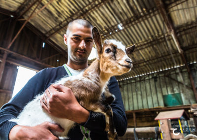 Ferme France - Agriculture sociale - Accueil Champêtre en Wallonie