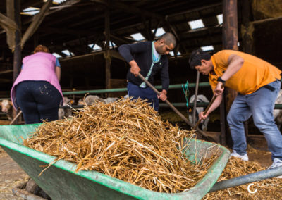 Ferme France - Agriculture sociale - Accueil Champêtre en Wallonie