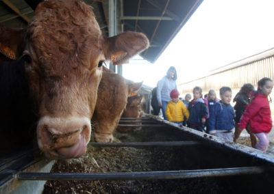 Ferme Vallée - Accueil Champêtre en Wallonie