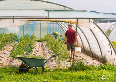 Ferme de la Grande Chevée - Agriculture sociale - Accueil Champêtre en Wallonie