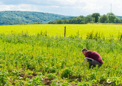 Ferme de la Grande Chevée - Agriculture sociale - Accueil Champêtre en Wallonie
