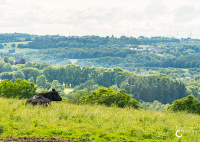 Ferme de la Grande Chevée - Agriculture sociale - Accueil Champêtre en Wallonie