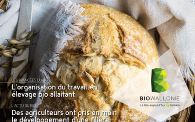 Transformations des céréales – et le prix de revient dans tout ça ?